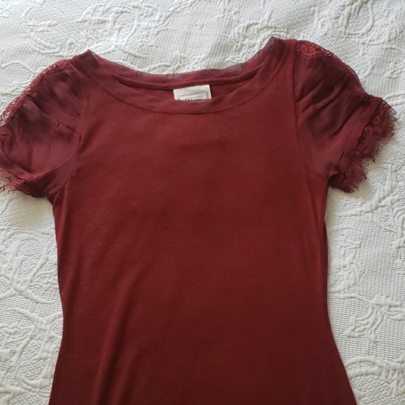 ODONATE EPIPROCTA TOP - Picture 5 of 6